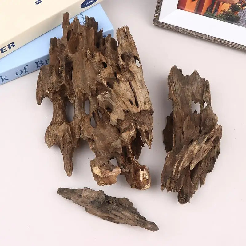 Natural Shrimp Wood Driftwood Aquarium Decor with Holes Aquarium Driftwood QXL