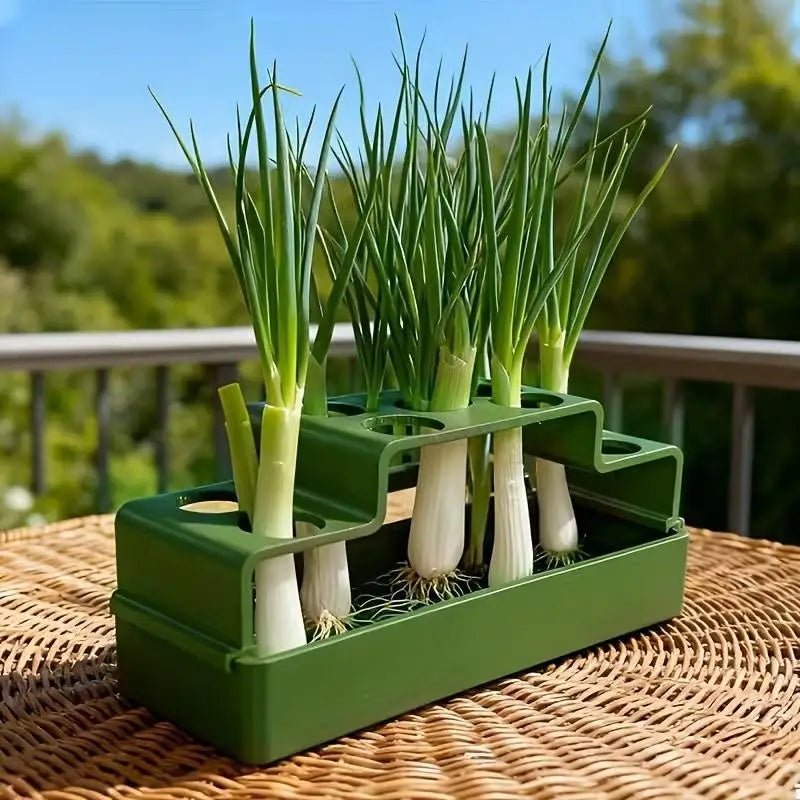 Hydroponic Planter for Green Onions & Fresh Herbs | Indoor Hydroponic Planter Pot QXL