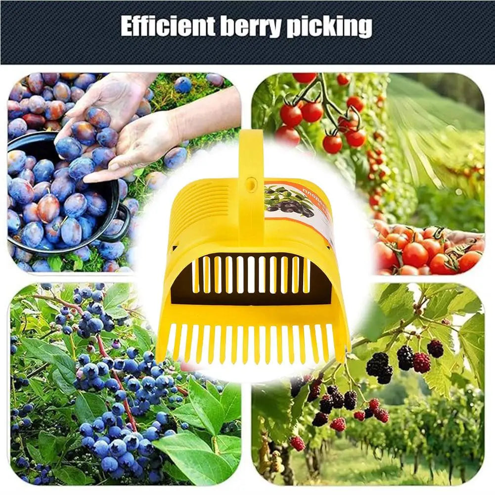 Blueberry Picker Rake with Comb Teeth | Large Capacity Berry Harvesting Tool QXL