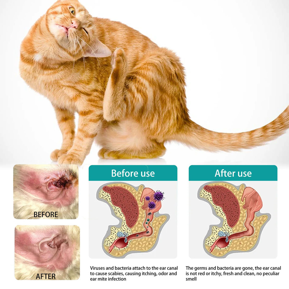 Pet Ear Cleaning Finger Cots | Cat & Dog Ear Care Pet Ear Cleaning Cots QXL