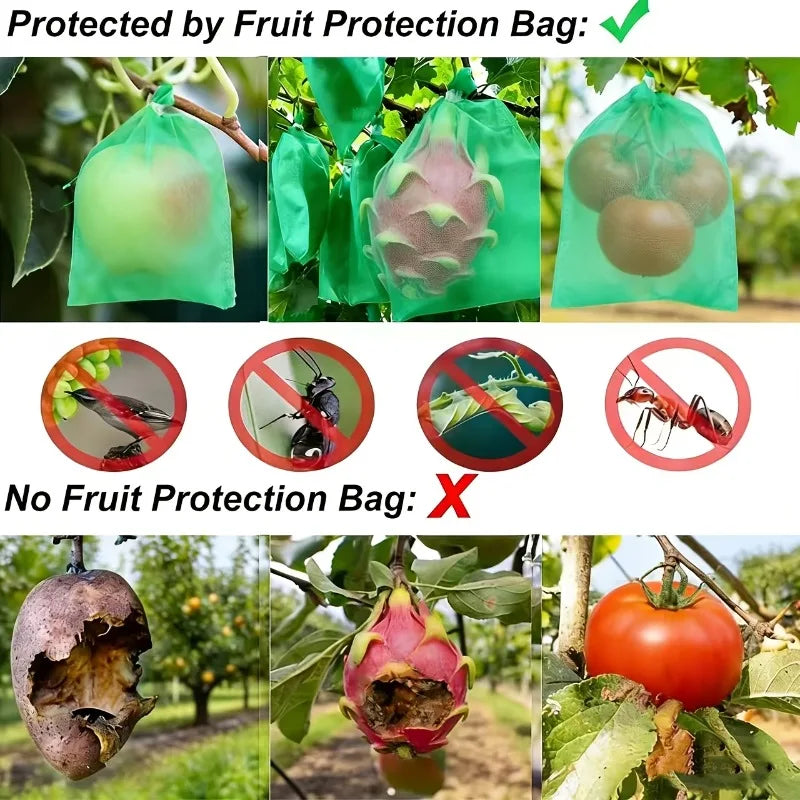 Non-Woven Fruit Protection Bags | Grape, Tomato & Garden Fruit Protection Bags QXL