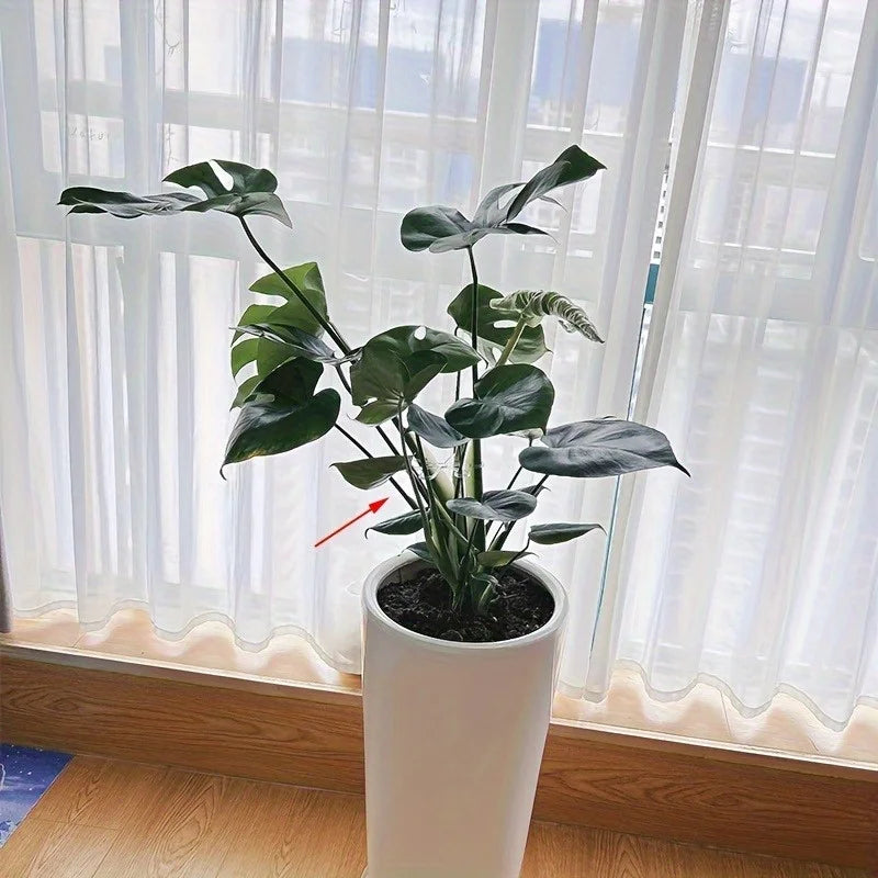 4-Pack Adjustable Transparent Plant Support Clips for Stems Plant Support Clips QXL