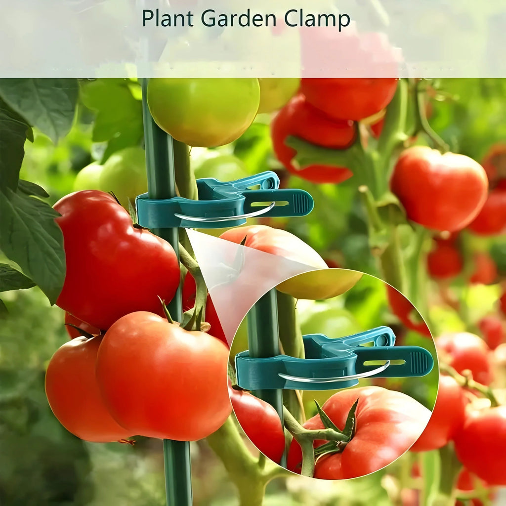 Plant Support Clips for Climbing Plants, Tomato & Vines Garden Plant Clips QXL