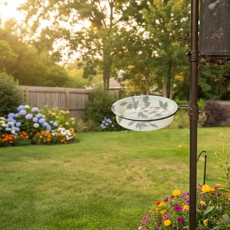 Transparent Circular Bird Feeder Bowl | Window & Garden Bird Feeder Bowl QXL