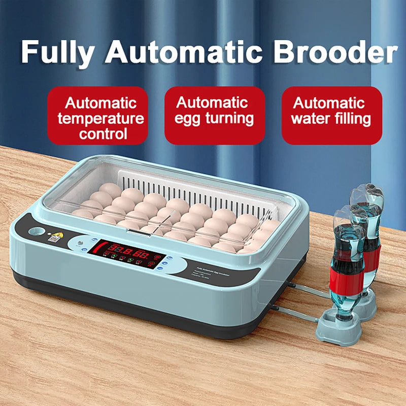 6-Egg Automatic Incubator – Chicken, Duck & Quail Egg Incubator QXL