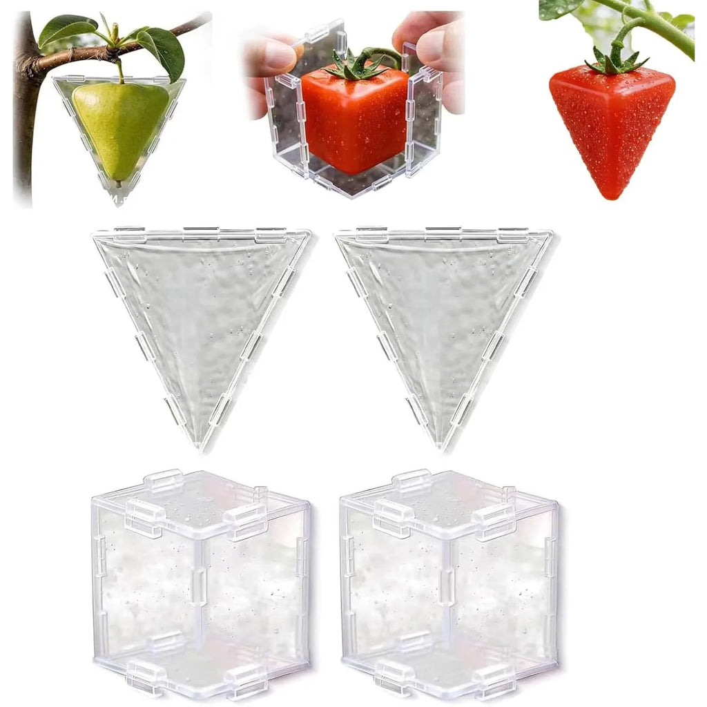 Transparent Fruit Shaping Molds – Cube & Triangle for Tomatoes Fruit Growing Mold QXL