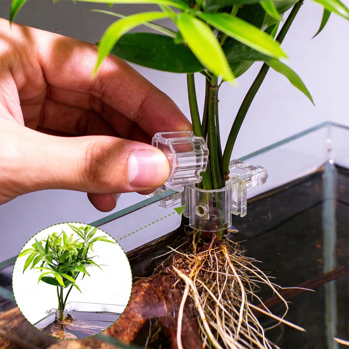 6-Pack Aquarium Plant Holder Cups | Fish Tank Planter Support Aquarium Plant Holder QXL