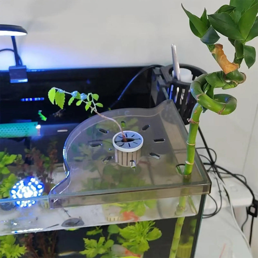 Aquarium Corner Shelf | Coral Frag Rack & Tank Organizer Aquarium Corner Shelf QXL