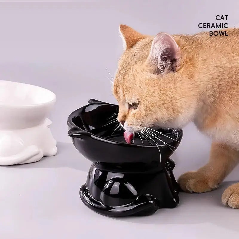 Raised Cat Bowl | Anti-Tip 15° Slanted Elevated Pet Feeder Elevated Pet Bowl QXL