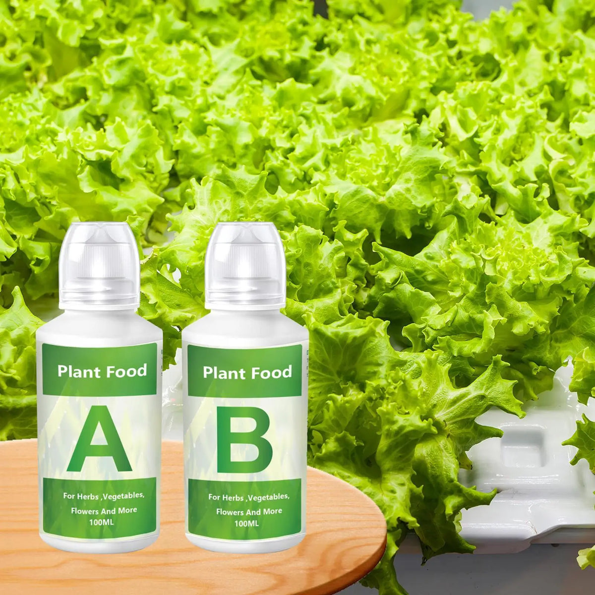 Hydroponic Nutrient Solution A & B | Organic Plant Food Hydroponic Fertilizer QXL
