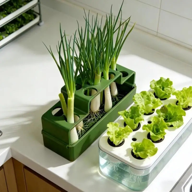 Hydroponic Planter for Green Onions & Fresh Herbs | Indoor Hydroponic Planter Pot QXL