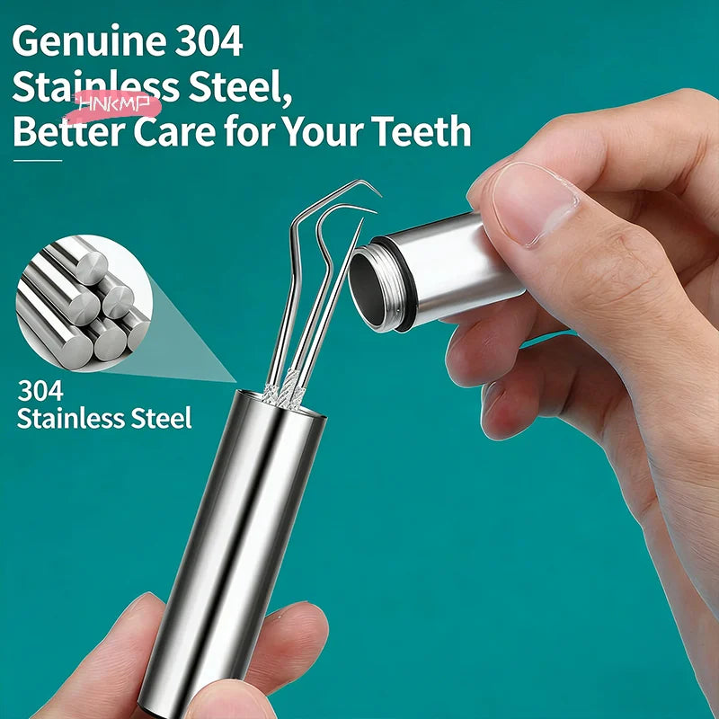 304 Stainless Steel Toothpick Set & Portable Holder | Dental Care Toothpick Set QXL