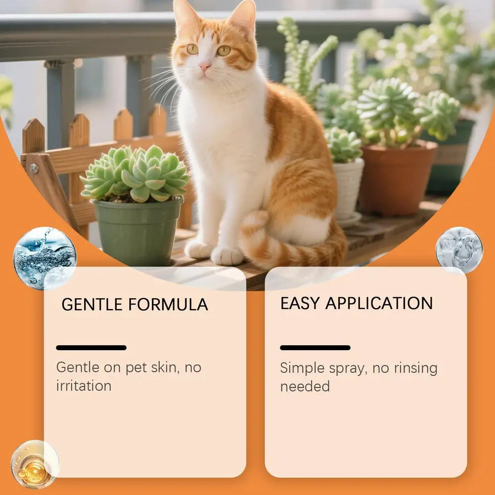Pet Skin Care Spray for Dogs & Cats | Botanical Formula 100ml Pet Skin Spray QXL