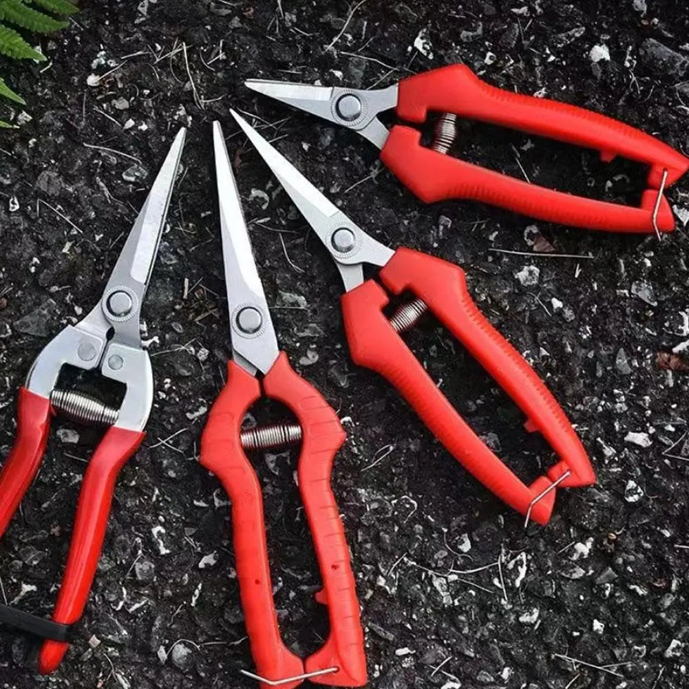 Stainless Steel Pruning Shears | 4 Sizes Garden Scissors Pruning Shears QXL
