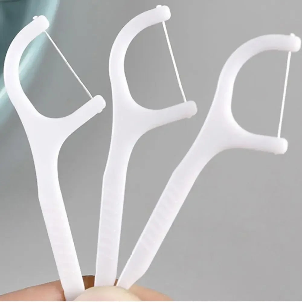 50-Pack Mint Disposable Dental Floss Picks | Flosser Box Dental Floss Picks QXL