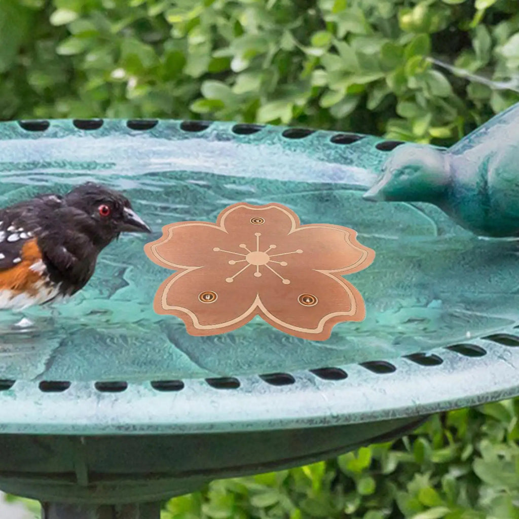 Copper Bird Bath Purification Disc | Rust-Resistant Cleaner Bird Bath Disc QXL