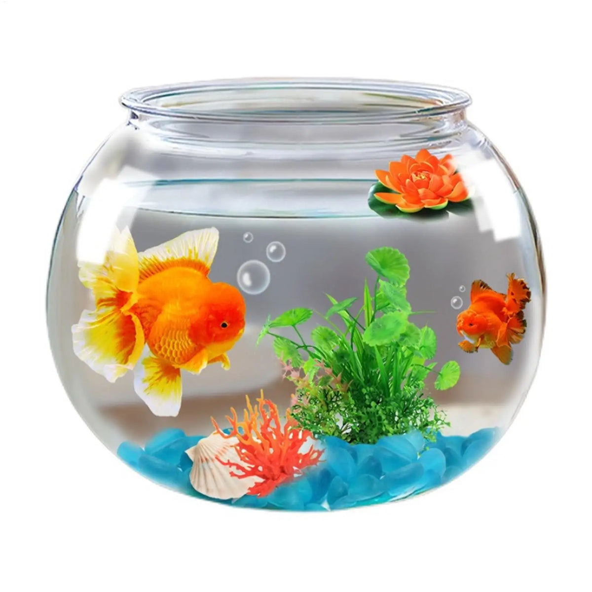 Clear Bubble Fish Bowl | Mini Aquarium & Table Centerpiece Bubble Fish Bowl QXL