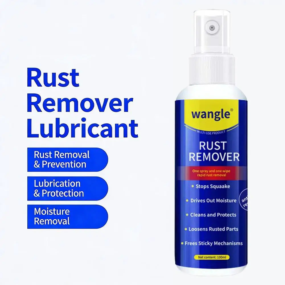 Anti-Rust Lubricant Spray 100ml | Rust Remover & Protector Rust Remover Spray QXL