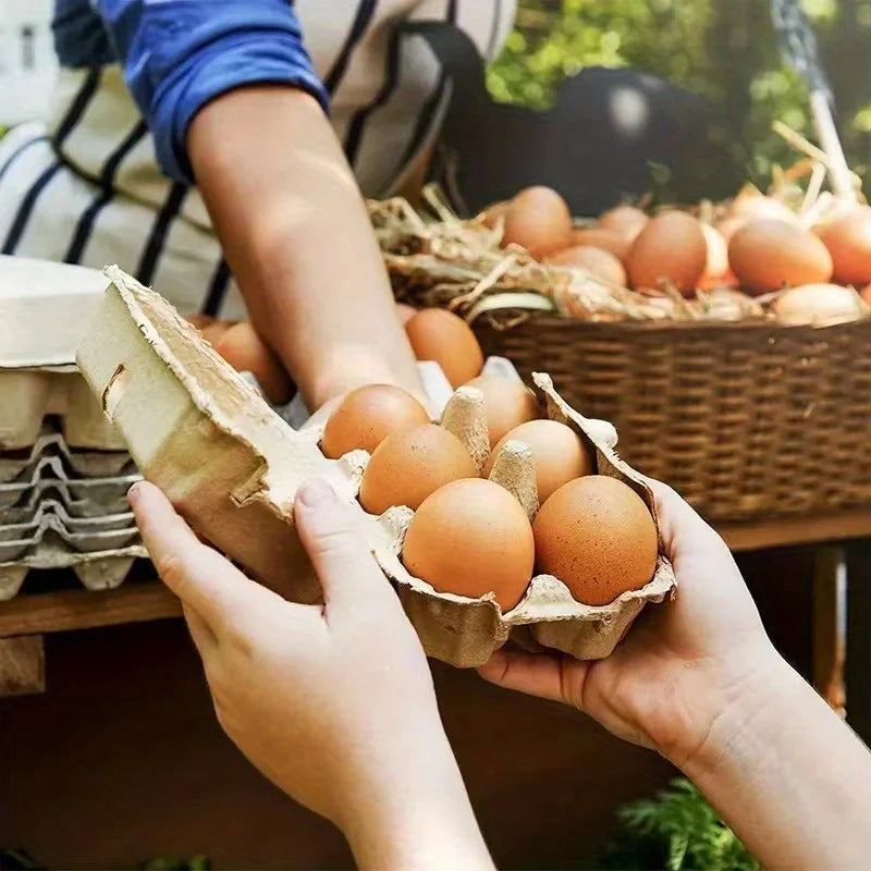 10-Pack Pulp Egg Trays | Farm, Home, Camping Egg Boxes Egg Storage Tray QXL
