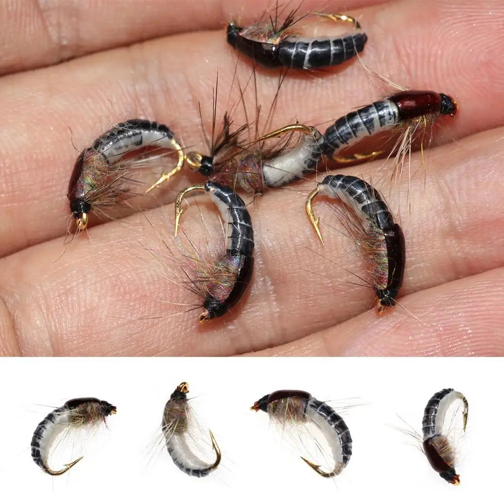 6-Pack Nymph Scud Fly Fishing Lures for Trout | #12 Hook Fly Fishing Lure QXL