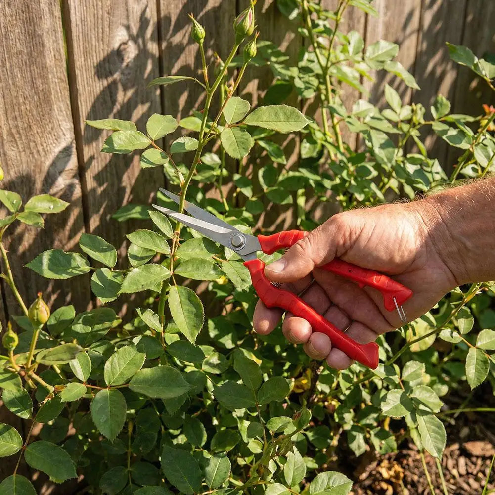 Stainless Steel Pruning Shears | 4 Sizes Garden Scissors Pruning Shears QXL