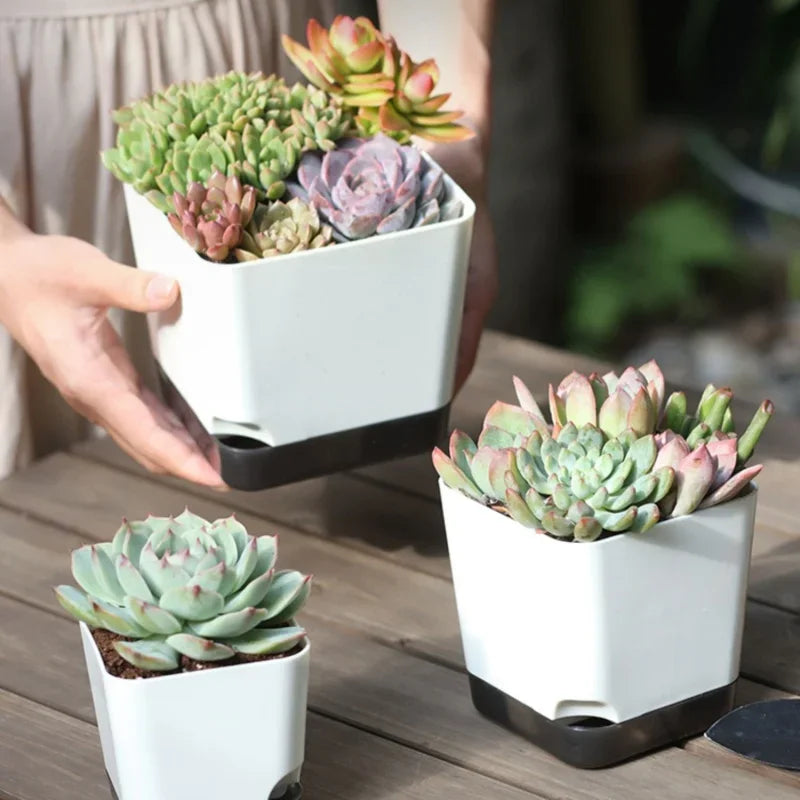 5-Pack Self-Watering Planters with Drainage & Reservoir Self-Watering Planter QXL