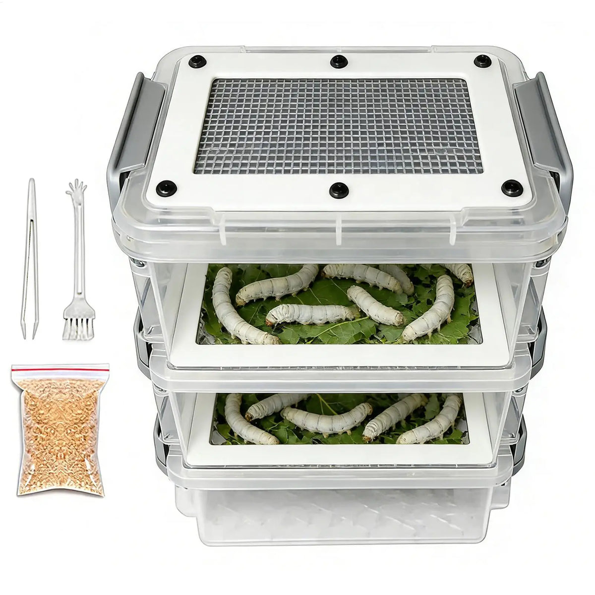 3-Layer Mealworm Breeding Kit | Transparent Feeder Breeder Box Insect Breeding Kit QXL