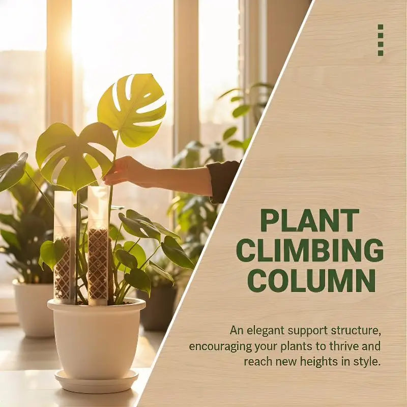 D-Shape Self-Watering Moss Pole | Adjustable Drip Indoor Plants Self-Watering Moss Pole QXL