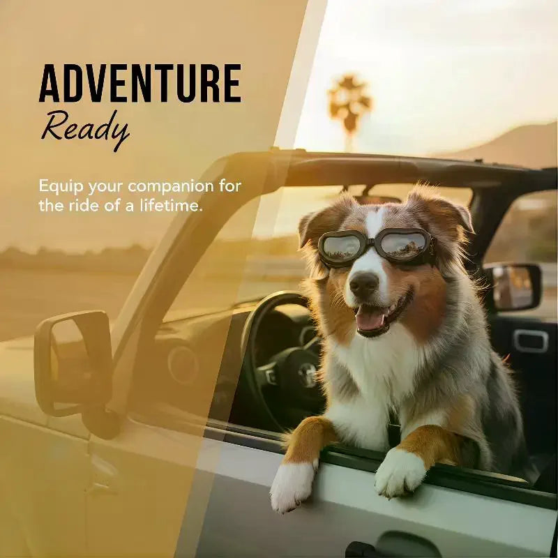 Adjustable Dog Goggles – UV & Windproof Pet Sunglasses Pet Eye Protection QXL