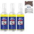 100ml Rust Remover Spray | Metal, Tile & Automotive Cleaner Rust Remover Spray QXL C