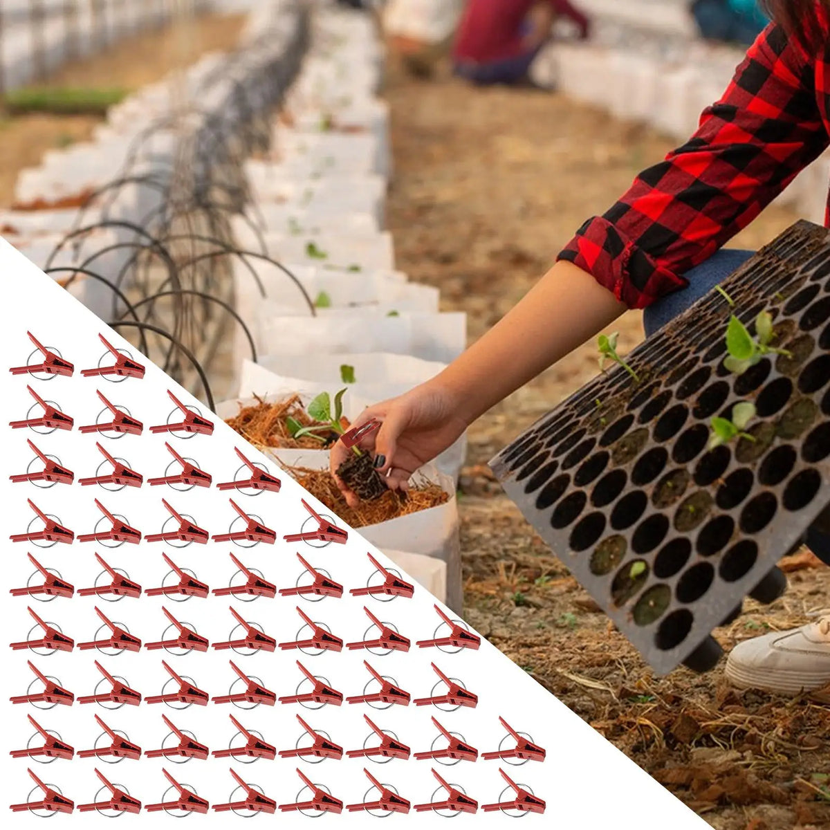 50-Pack Plant Grafting Clips for Tomatoes, Cucumbers & Melons Plant Grafting Clips QXL