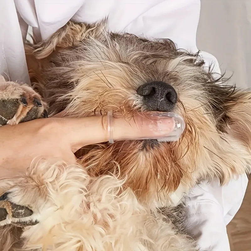 5-Pack Silicone Finger Toothbrushes for Dogs & Cats Pet Finger Toothbrush QXL