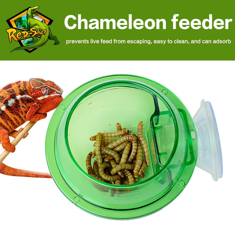 Anti-Escape Suction Cup Reptile Feeder Bowl | Lizard Gecko Reptile Feeder Bowl QXL