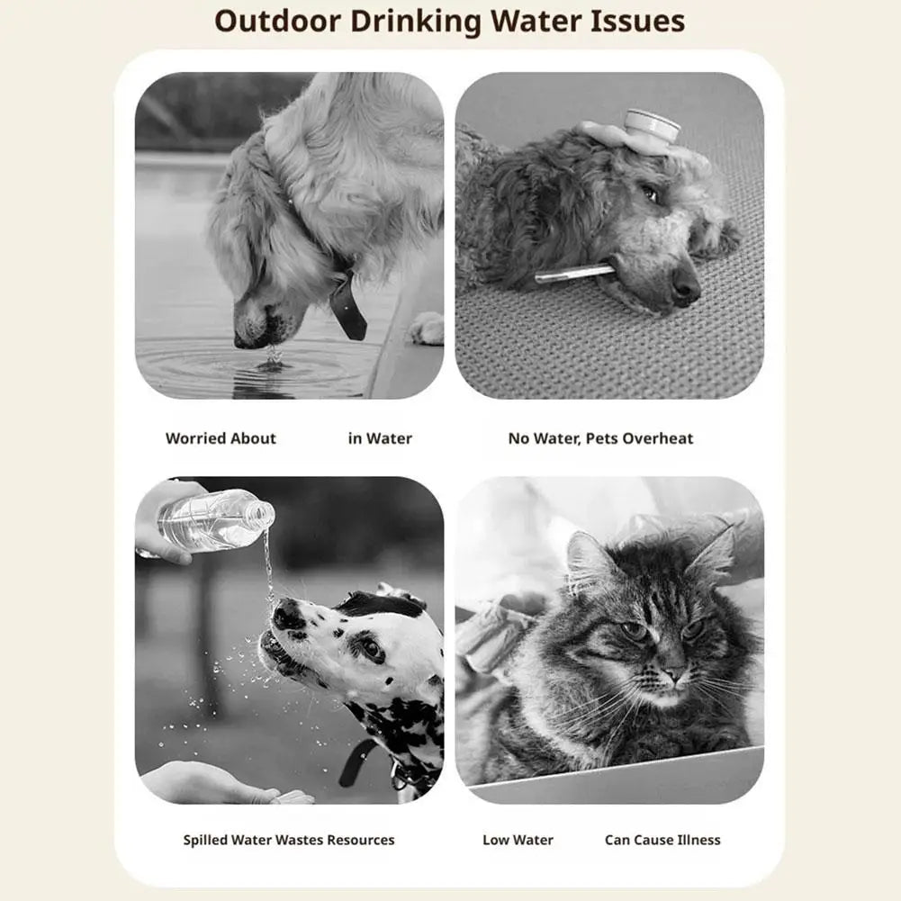 Portable TPR Dog Travel Water Bottle Sleeve | 2-Pack Pet Travel Water Bowl QXL
