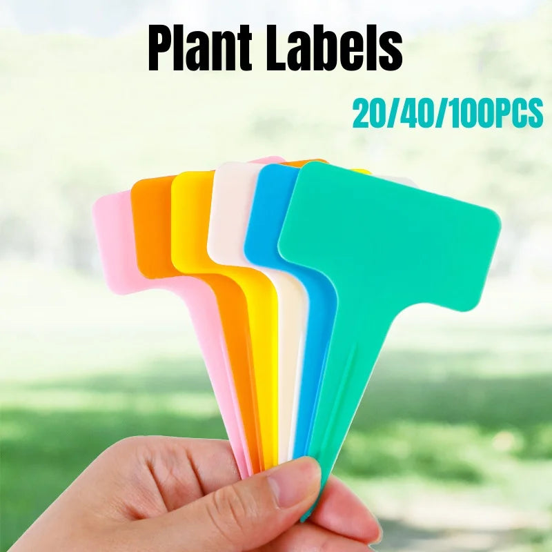 20/100pcs White Plastic PVC Plant T-type Tags Markers Nursery Garden Labels Seedling Tray Pots Decoration Garden Labels 6x10cm QXL