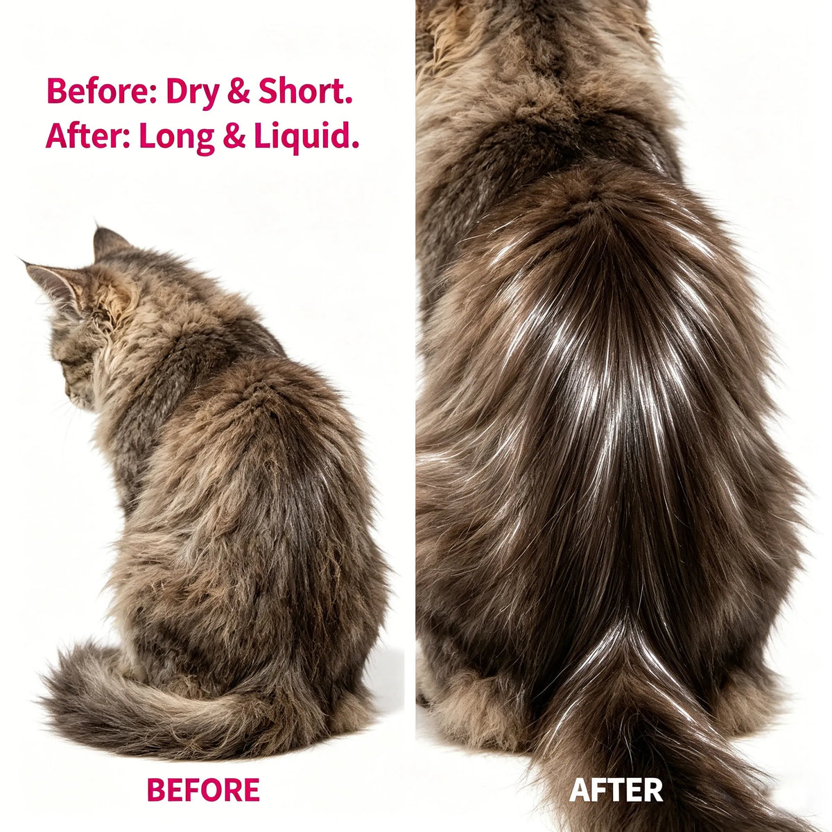 Pet Fur Nourishing Oil Spray | Dog & Cat Coat Care Pet Grooming Spray QXL Default Title