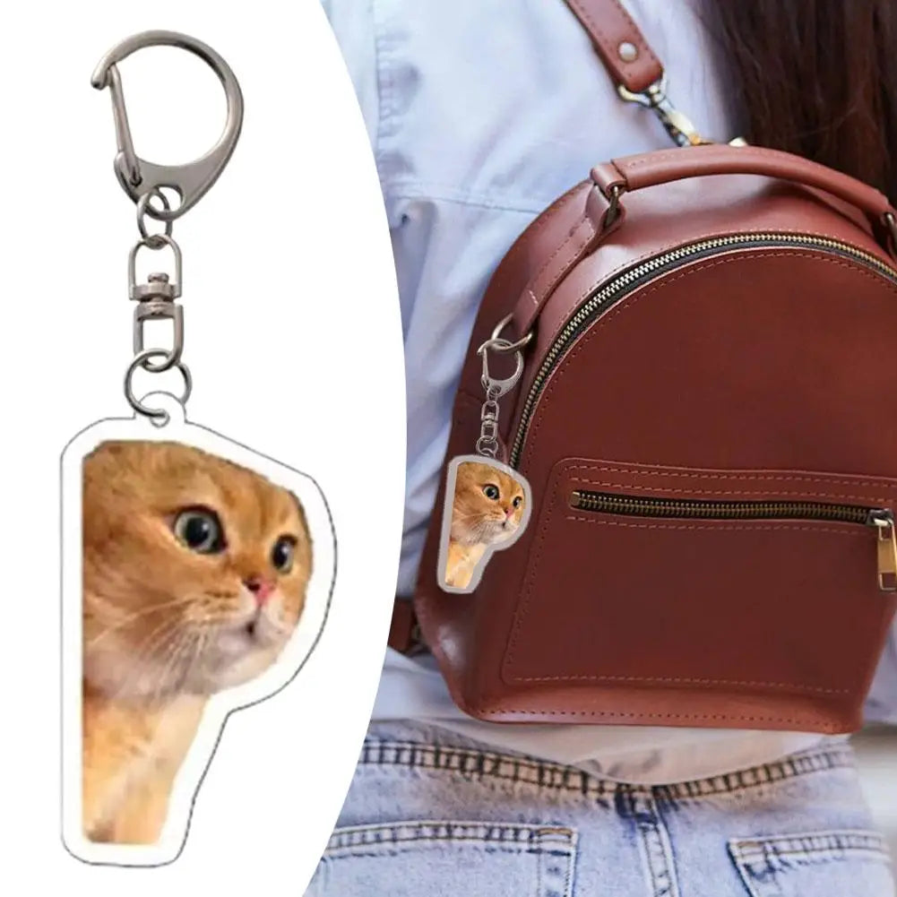 Funny Cat Meme Acrylic Keychain | Double-Sided HD Print Novelty Keychain Charm QXL