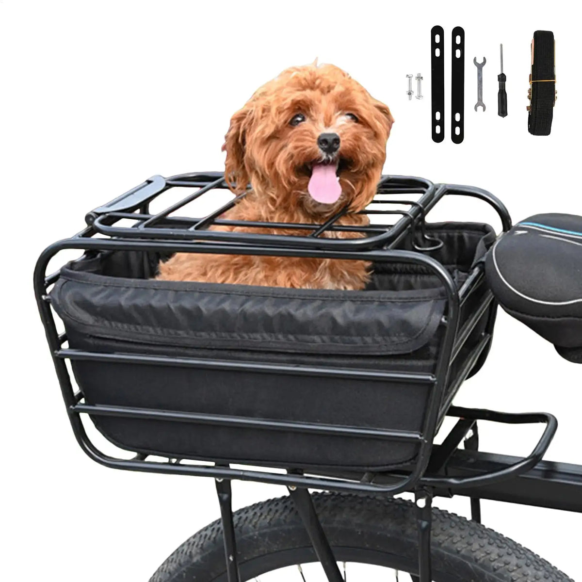 Carbon Steel Enclosed Bike Pet Carrier Basket – Rear Rack Bike Pet Carrier Basket QXL