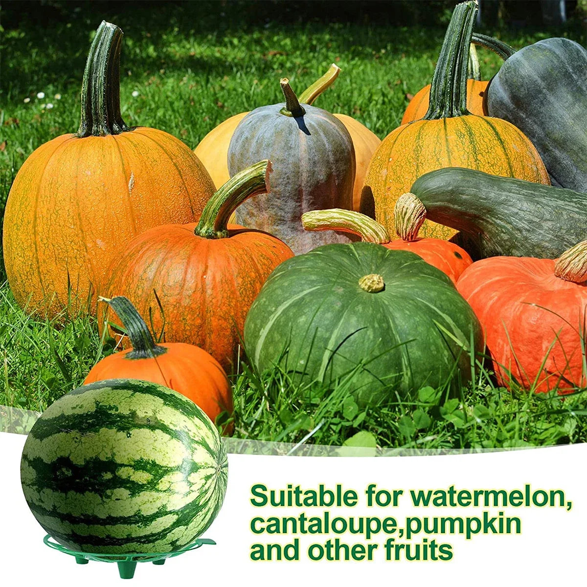 2-Pack Fruit Support Trays for Watermelon, Melon & Pumpkin Garden Fruit Support Tray QXL