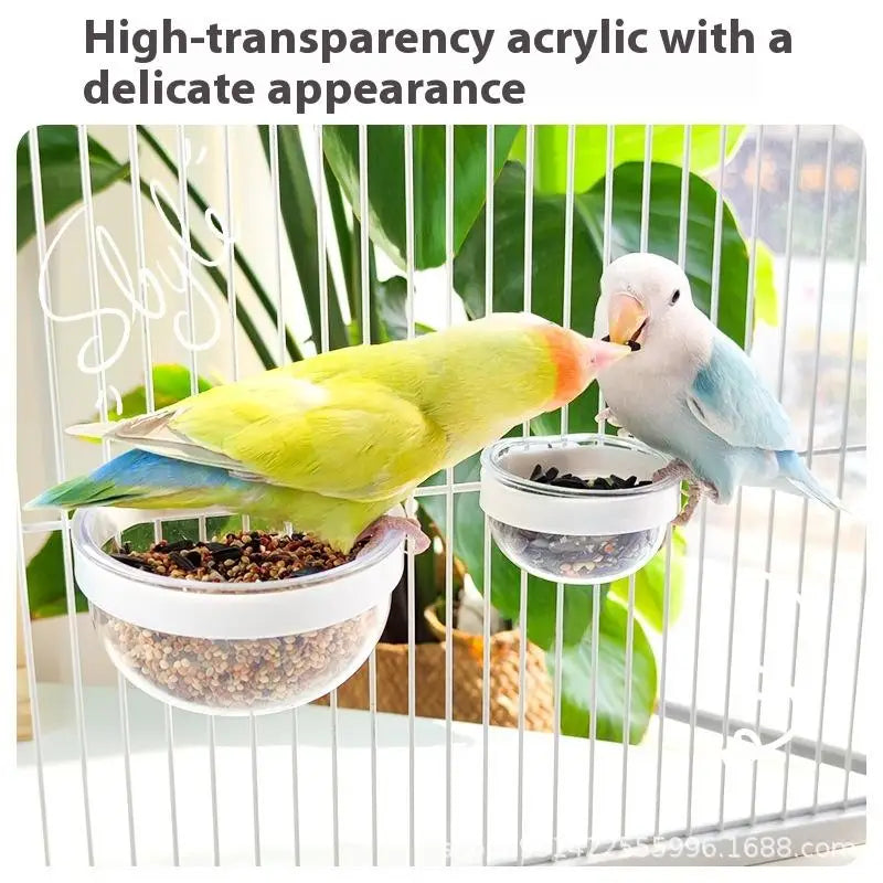 Detachable Transparent Bird Feeder Bowl | Cage Hanging Cup Bird Feeder Bowl QXL