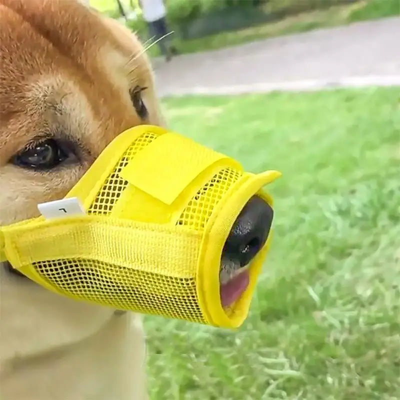 Breathable Mesh Dog Muzzle – Adjustable Anti-Bark S/M/L Dog Muzzle QXL