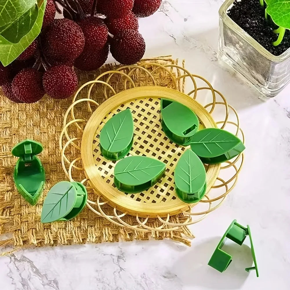 Self-Adhesive Leaf Plant Wall Clips – 10 or 20 Pack Plant Wall Clips QXL
