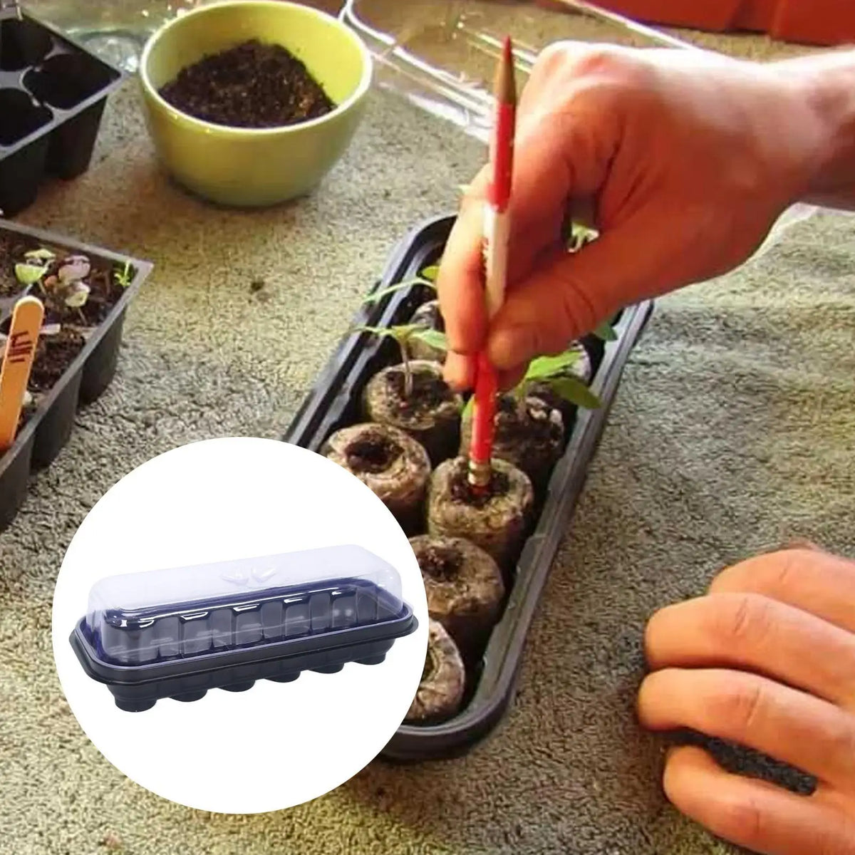 12-Cell Seedling Starter Tray with Humidity Dome Propagator Seedling Propagator Tray QXL