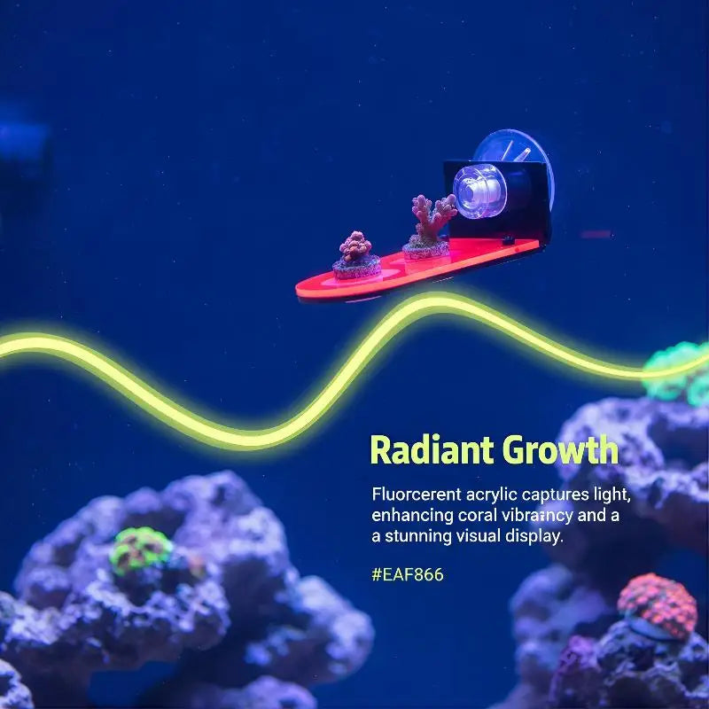 Acrylic Fluorescent SPS Coral Frag Rack & Plug Holder Coral Frag Rack QXL