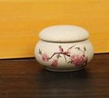 15g Mini Ceramic Nail Cup with Lid | Acrylic Liquid & Powder Jar Nail Dappen Dish QXL Beige 15g Ceramic