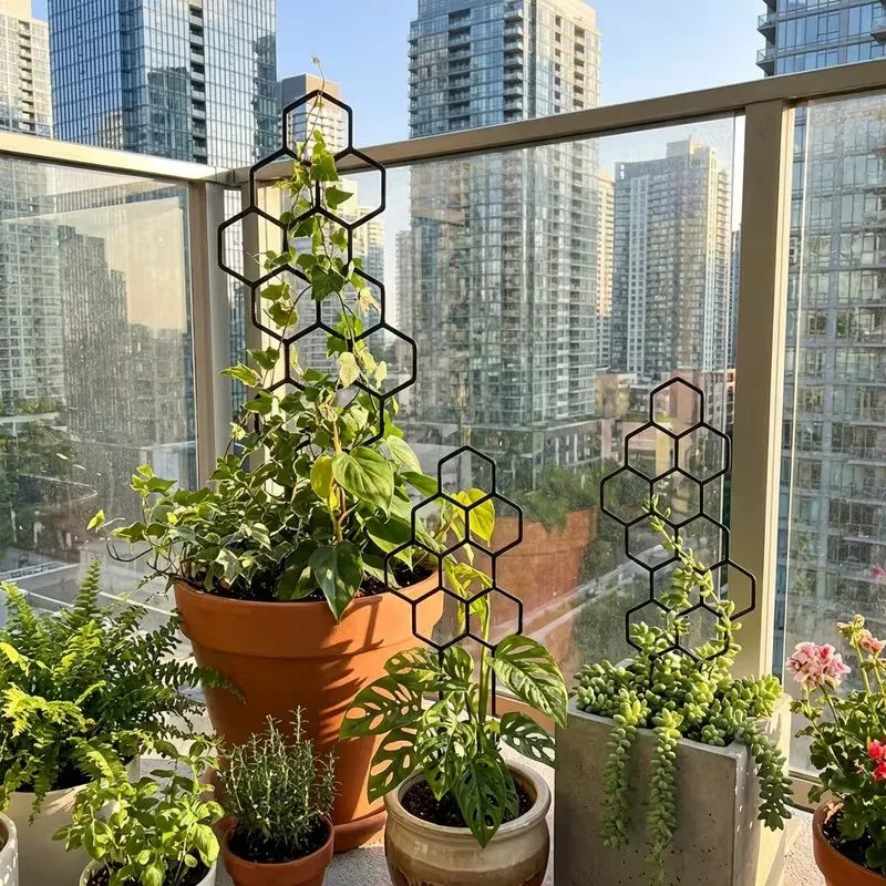 2-Pack Honeycomb Plant Climbing Frame 38x15cm | Vine Support Plant Climbing Frame QXL