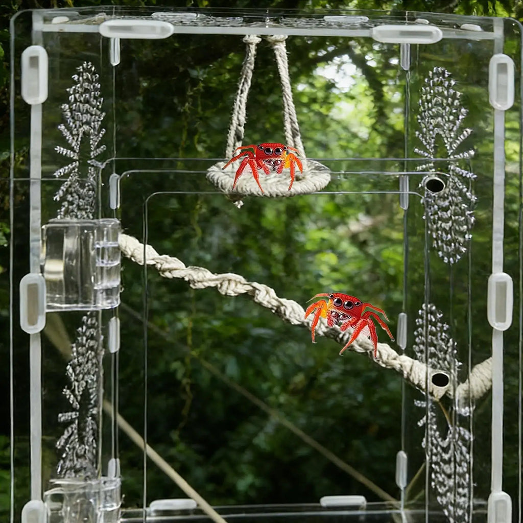 Spider & Gecko Hammock Bridge | Terrarium Climbing Habitat Terrarium Habitat Decor QXL