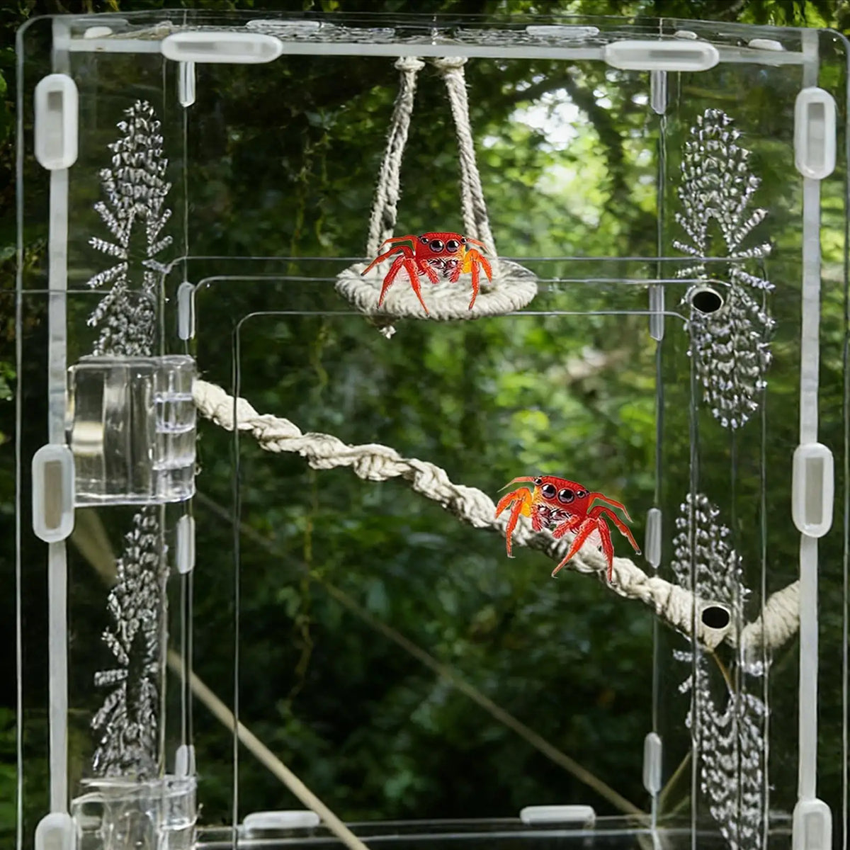 Spider & Gecko Hammock Bridge | Terrarium Climbing Habitat Terrarium Habitat Decor QXL