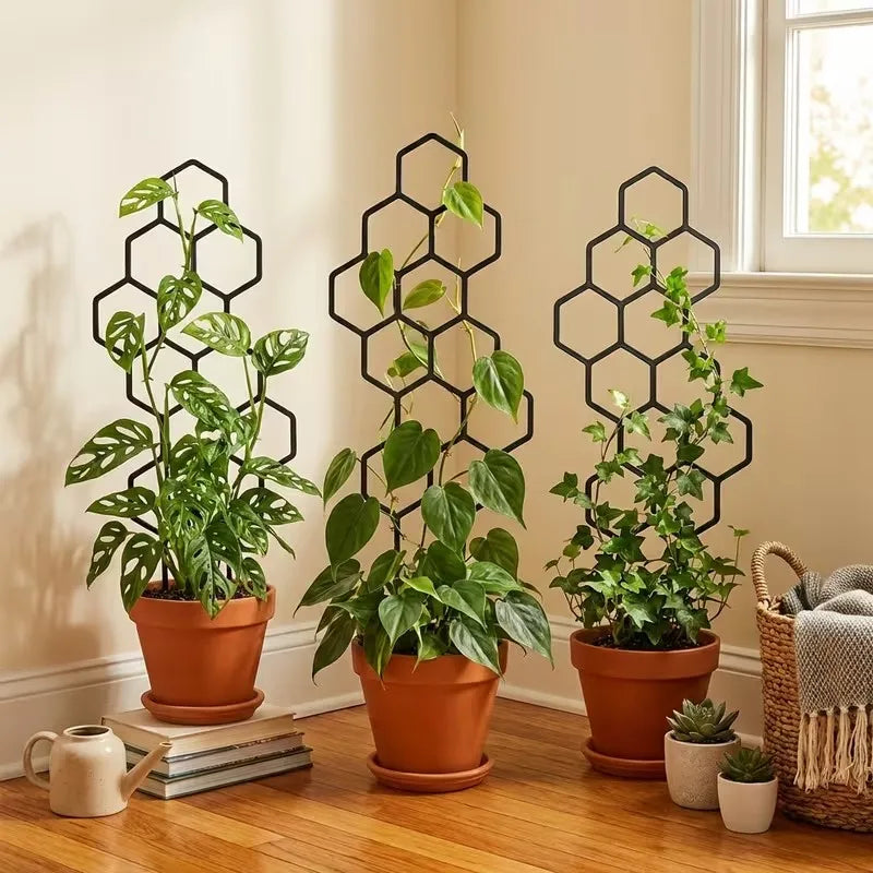 2-Pack Honeycomb Plant Climbing Frame 38x15cm | Vine Support Plant Climbing Frame QXL