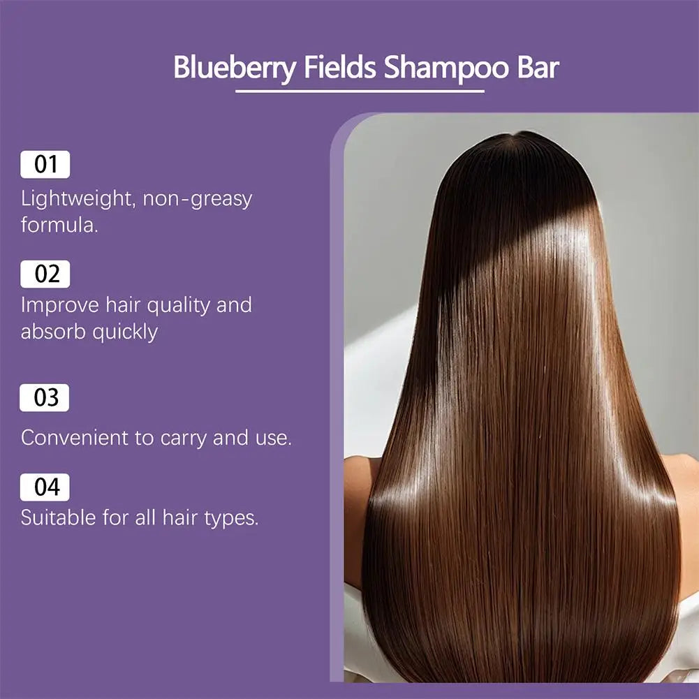 Blueberry Shampoo & Conditioner Bar Bundle | All Hair Types Solid Hair Bar Set QXL